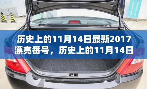 歷史上的11月14日最新2017漂亮番號，歷史上的11月14日，探尋那些閃耀的瞬間與美好記憶??