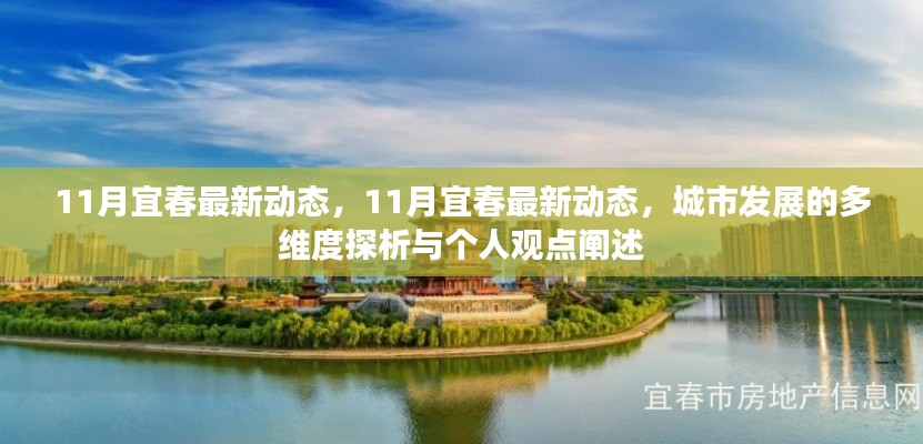 11月宜春最新動態(tài)，多維度探析城市發(fā)展，個人觀點闡述