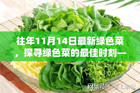 探尋綠色菜的最佳時(shí)刻，以往年11月14日為例的蔬菜盛宴