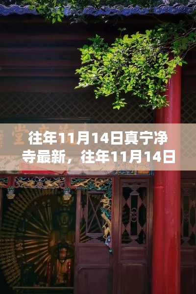 往年11月14日真寧凈寺探訪攻略，領(lǐng)略古寺魅力，最新指南全解析