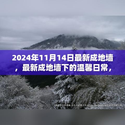最新成地墻下的溫馨日常，友誼與愛共筑美好家園的2024年1月記事