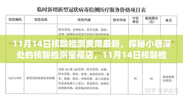 探秘核酸檢測寶藏店，揭秘最新核酸檢測費用新鮮事（11月14日更新）
