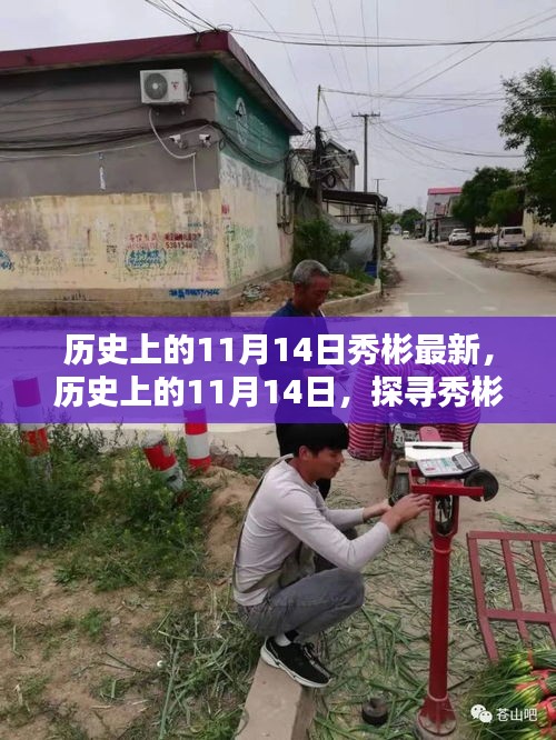探尋秀彬的最新足跡，歷史上的11月14日回顧與最新進(jìn)展