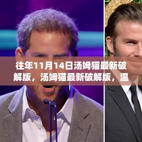 溫馨十一月，湯姆貓最新破解版與友情相伴的奇妙日常