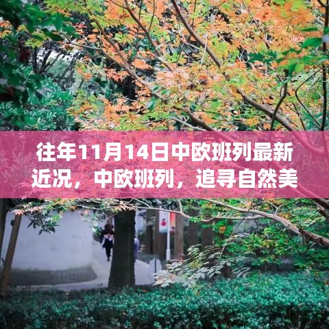 中歐班列秋日序曲，追尋自然美景與內心寧靜之旅的最新近況