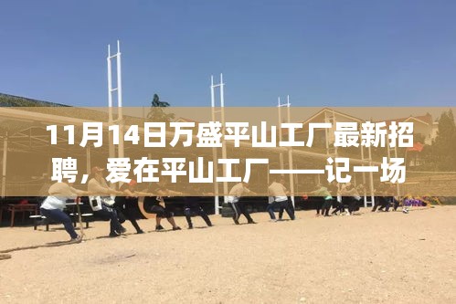 愛在平山工廠，最新招聘與求職之旅啟程