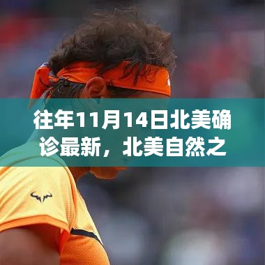 北美自然之旅，探尋美景與內(nèi)心寧靜的旅程，歷年北美確診最新資訊回顧