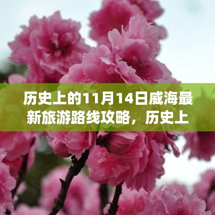 歷史上的11月14日威海旅游路線全新攻略，最新旅游路線探索
