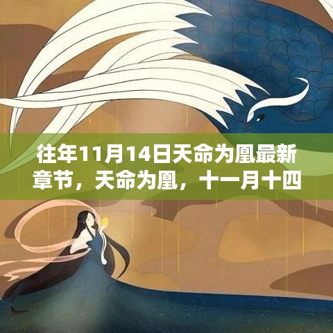天命為凰，十一月十四日的日常與溫馨篇章