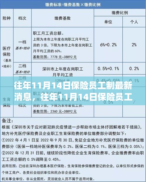 三大要點深度解讀，往年11月14日保險員工制最新消息與更新解讀