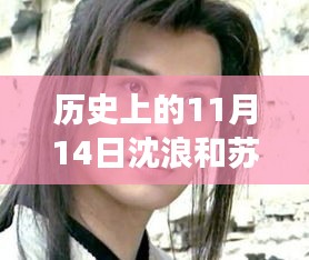 歷史上的11月14日揭秘沈浪和蘇若雪最新進(jìn)展，最新故事進(jìn)展揭秘！