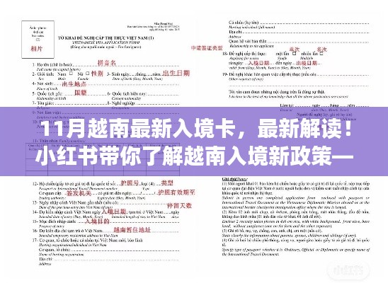 小紅書解讀，最新越南入境卡詳解及新政策解析