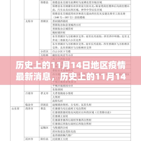 歷史上的11月14日全球疫情進展與地區(qū)動態(tài)分析，最新消息及進展概述
