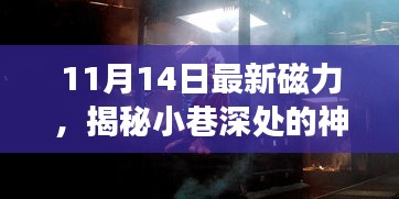 揭秘神秘寶藏，11月14日最新磁力小巷小店探秘之旅