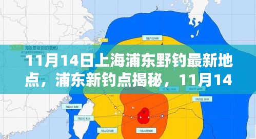 探尋自然之魚的樂園，上海浦東新釣點(diǎn)揭秘與垂釣盛宴（11月14日）