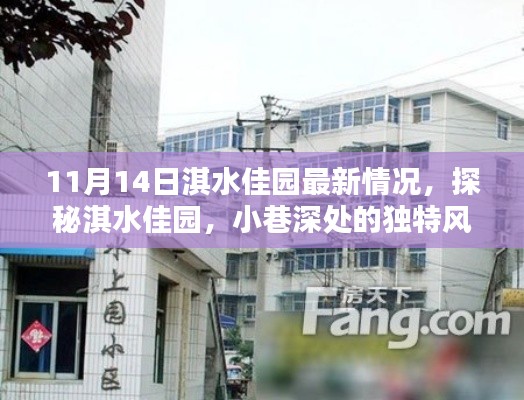 探秘淇水佳園，小巷深處的獨(dú)特風(fēng)情——最新探訪報(bào)告（11月14日）