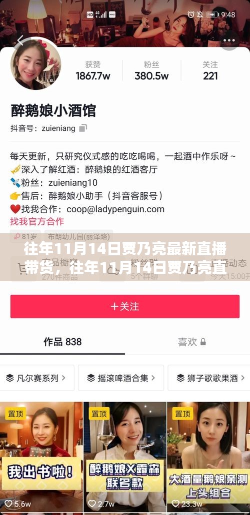賈乃亮直播帶貨回顧，全面評(píng)測(cè)與介紹，歷年雙十一直播帶貨新動(dòng)態(tài)