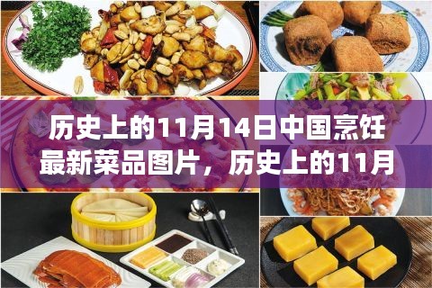 11月14日中國(guó)烹飪新菜品圖片展示，歷史菜品深度評(píng)測(cè)與介紹