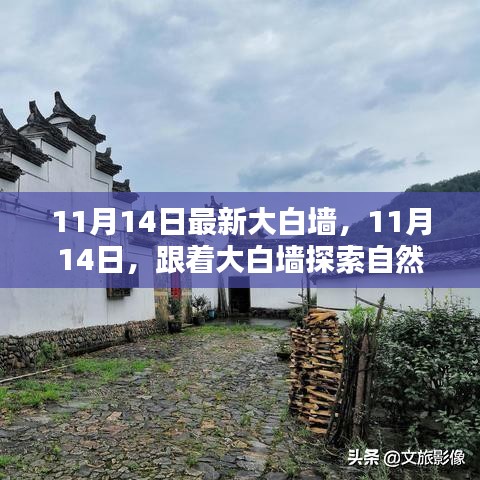 11月14日大白墻引領(lǐng)自然秘境之旅，探索內(nèi)心寧靜與平和的奧秘