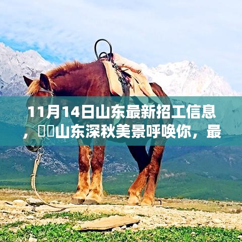山東最新招工信息帶你領略深秋美景的心靈之旅啟程招募！