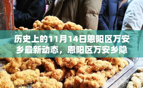 恩陽區(qū)萬安鄉(xiāng)隱秘小巷的百年風(fēng)味揭秘，最新動態(tài)報道在11月14日
