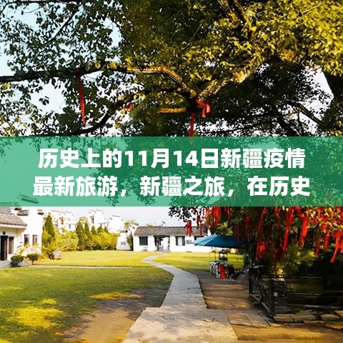歷史的11月14日，新疆疫情最新旅游動態(tài)與心靈之旅的寧靜與奇跡探尋