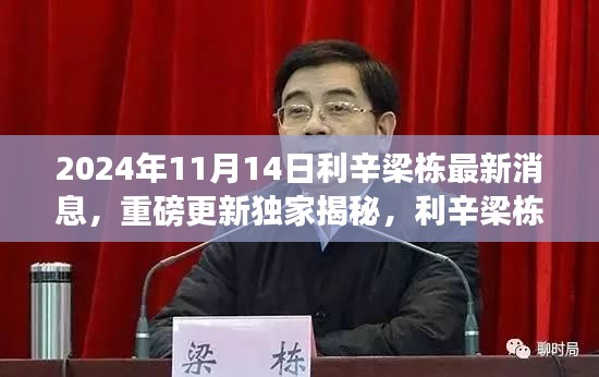 獨(dú)家揭秘，利辛梁棟最新動(dòng)態(tài)與消息重磅更新，2024年11月14日最新進(jìn)展揭秘。