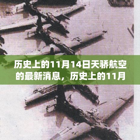 歷史上的天驕航空，探尋自然美景與心靈寧靜之旅的啟程日——11月14日最新消息