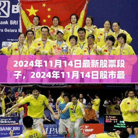 揭秘未來投資熱點，最新股市動態(tài)與股票段子，2024年11月14日深度解析