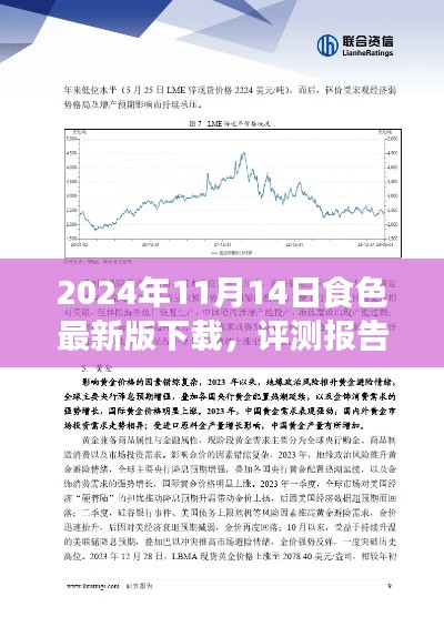 深度評測報告，2024年食色最新版下載解析