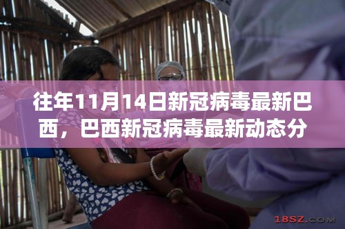 歷年11月14日巴西新冠病毒動態(tài)分析，最新數(shù)據(jù)與趨勢探討
