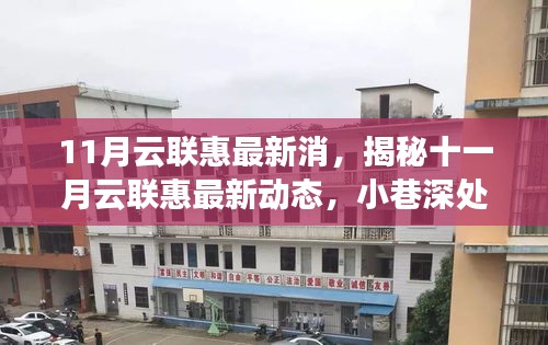 揭秘十一月云聯(lián)惠最新動(dòng)態(tài)，小巷特色小店深度探索