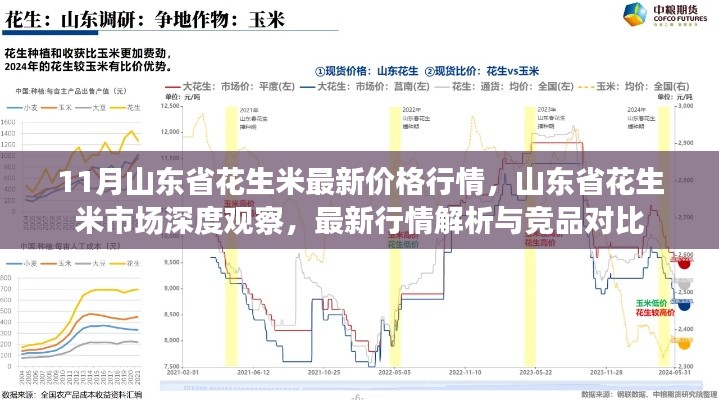 11月山東省花生米最新價(jià)格行情，山東省花生米市場深度觀察，最新行情解析與競品對比