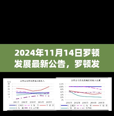 羅頓發(fā)展最新公告揭秘未來(lái)戰(zhàn)略動(dòng)向與業(yè)務(wù)進(jìn)展（2024年11月版）