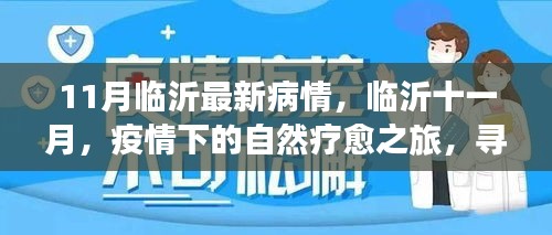 臨沂十一月疫情下的自然療愈之旅，尋找內(nèi)心的寧靜港灣