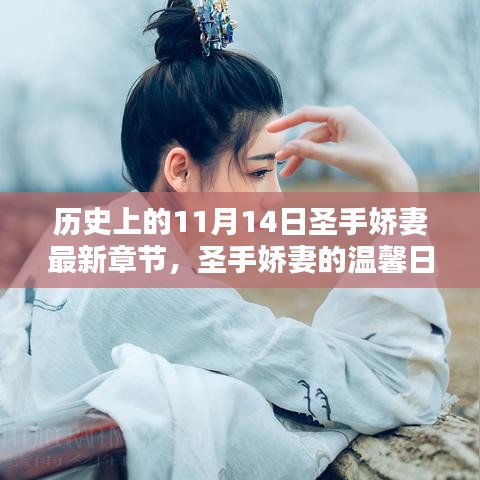 十一月十四日，圣手嬌妻的溫馨日常與輕喜劇章節(jié)