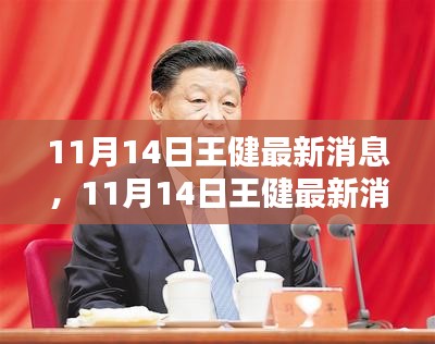 王健最新消息全面評測與介紹，11月14日更新動態(tài)揭秘！