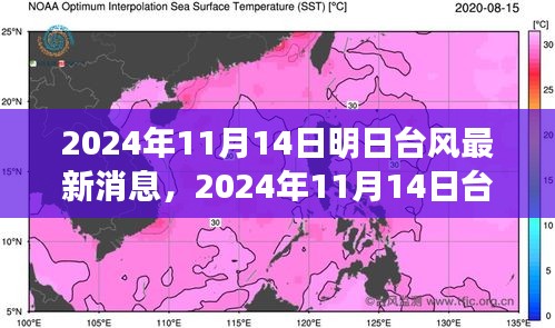 臺風(fēng)最新消息深度評測，特性、體驗(yàn)、競品對比與用戶分析（2024年臺風(fēng)動態(tài)）