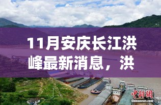 安慶長(zhǎng)江洪峰過(guò)境，溫馨日常與深厚友情的見(jiàn)證