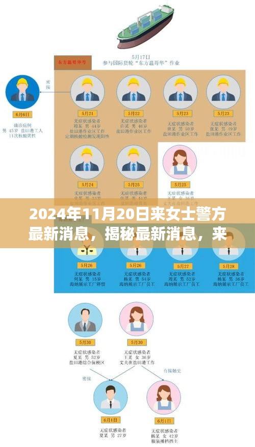 揭秘來女士案件最新進(jìn)展與警方深度調(diào)查，最新消息披露于2024年11月20日