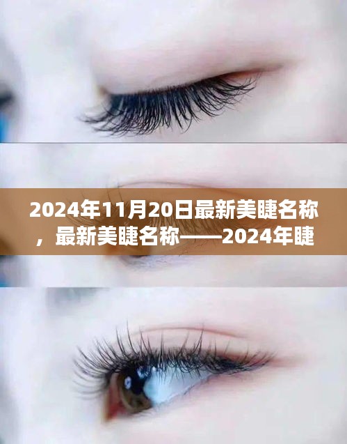 最新美睫名稱(chēng)揭秘，2024年睫毛美學(xué)的革命性變革