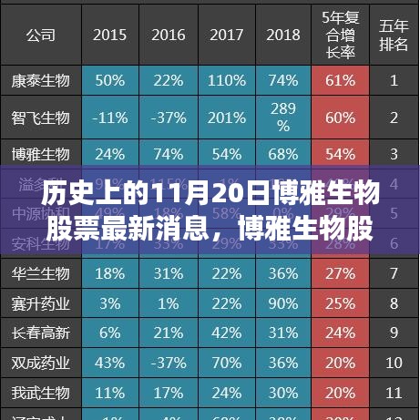 博雅生物股票揭秘，歷史與現(xiàn)代的交融奇跡，探尋小巷深處的獨特寶藏