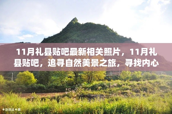 11月禮縣貼吧美景追尋，自然之旅與內(nèi)心寧?kù)o的探尋