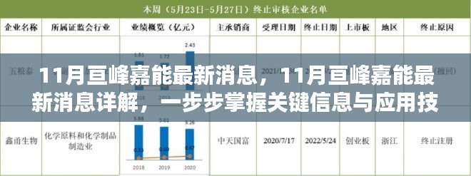 掌握關(guān)鍵信息與應(yīng)用技能，詳解亙峰嘉能最新動(dòng)態(tài)與消息