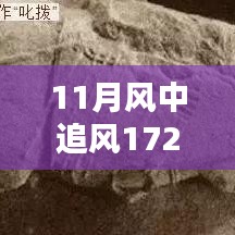 揭秘，風(fēng)中追風(fēng)最新裝備的時(shí)代地位與影響，逐風(fēng)而行，價(jià)值高達(dá)172萬(wàn)裝備重磅登場(chǎng)！