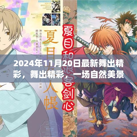舞出精彩，自然美景的治愈之旅（2024年11月20日最新）