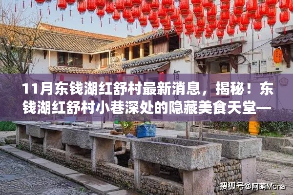 揭秘東錢湖紅舒村最新動態(tài)，小巷美食天堂獨家報道