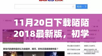 初學(xué)者也能輕松掌握！下載陌陌2018最新版的詳細步驟指南