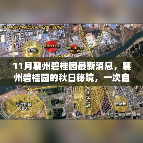 襄州碧桂園秋日秘境，自然美景的心靈之旅最新消息揭秘