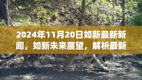 2024年如新最新新聞動態(tài)及未來展望，解析最新動態(tài)與觀點分歧